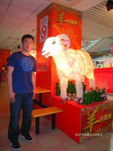 羊咩咩.JPG