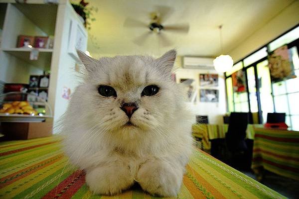 nEO_IMG_IMG_8626.jpg