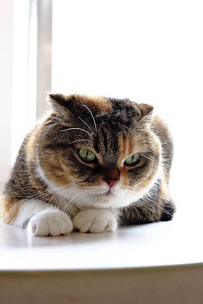 nEO_IMG_IMG_8713.jpg