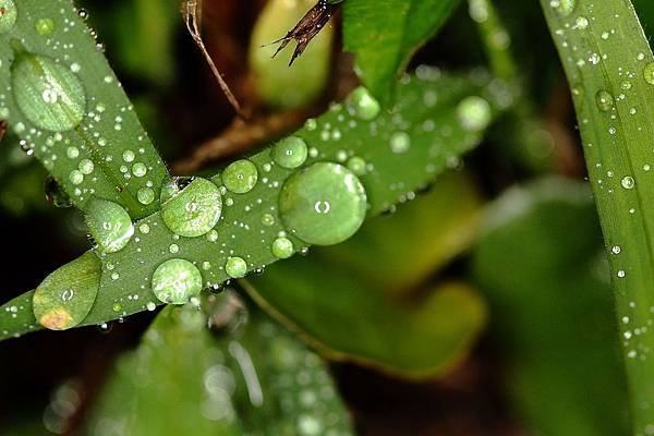 nEO_IMG_IMG_5817.jpg