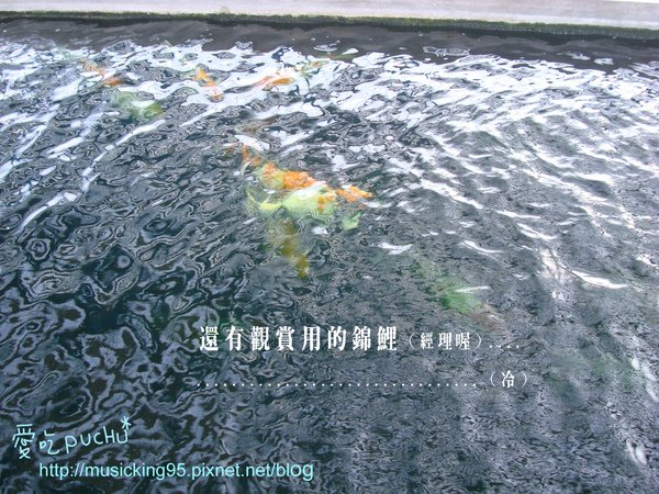 DSC03633拷貝.jpg