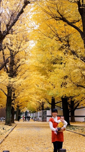 GH111208_13.jpg