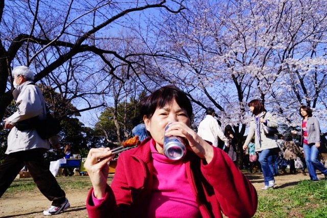 sakura120408_29