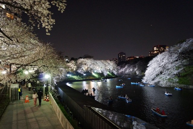 sakura120408_76