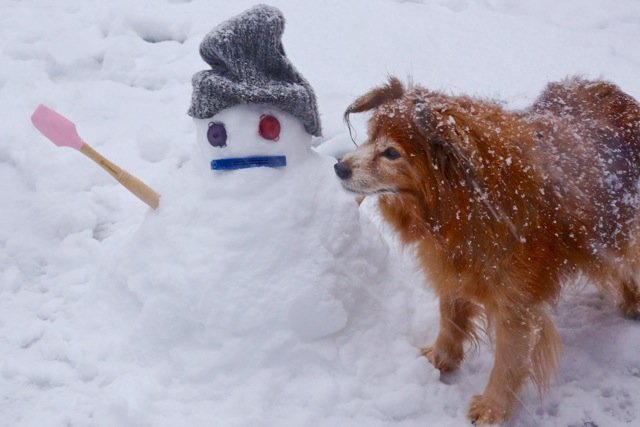 snow_5