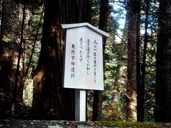 nikko2_111.jpg