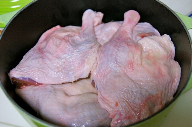 duck01.jpg