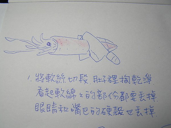 20110215晚餐紅酒三杯軟絲4-1