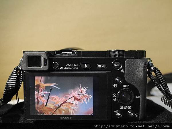 ss210201.jpg