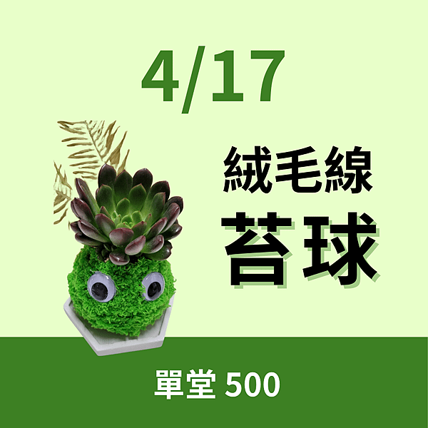 DIY絨毛線苔球植栽