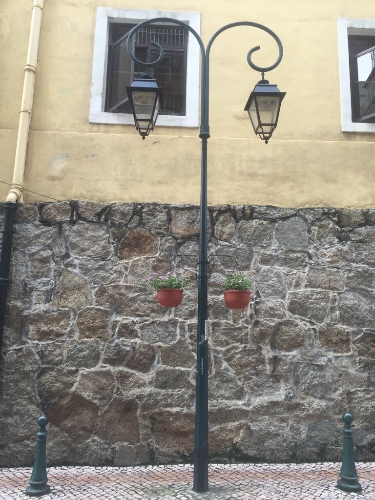4473.JPG