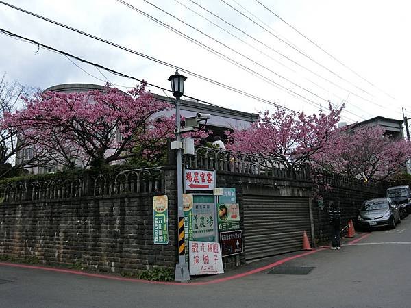 CIMG0168