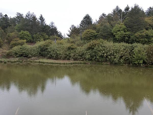 CIMG5077.JPG
