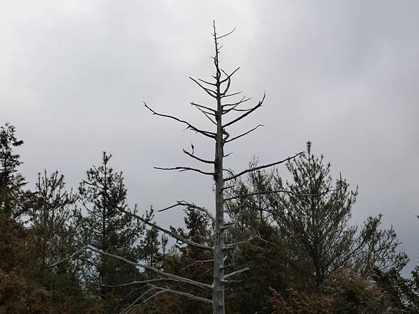 CIMG5101.JPG