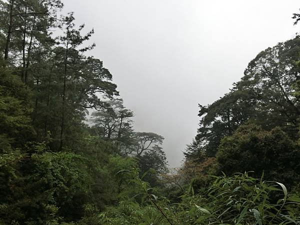 CIMG5151.JPG