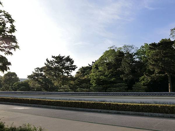 CIMG6056.JPG