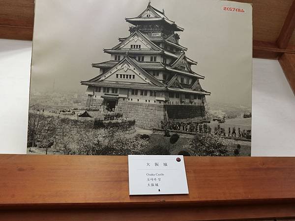 CIMG6873.JPG