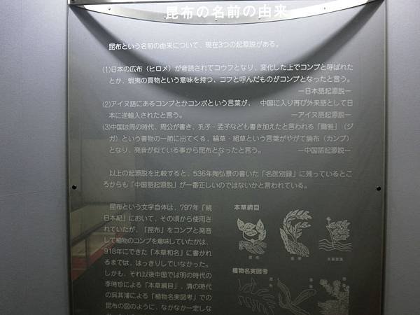 CIMG8749.JPG