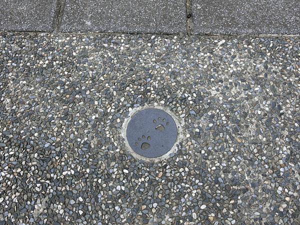 CIMG9508.JPG
