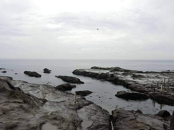 CIMG5533.JPG