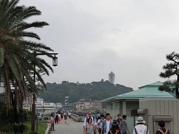 CIMG5555.JPG