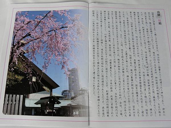 CIMG6008.JPG