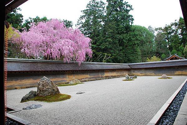 龍安寺0516