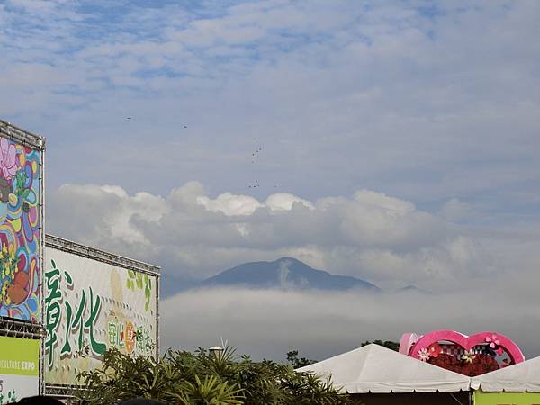 CIMG8929.JPG