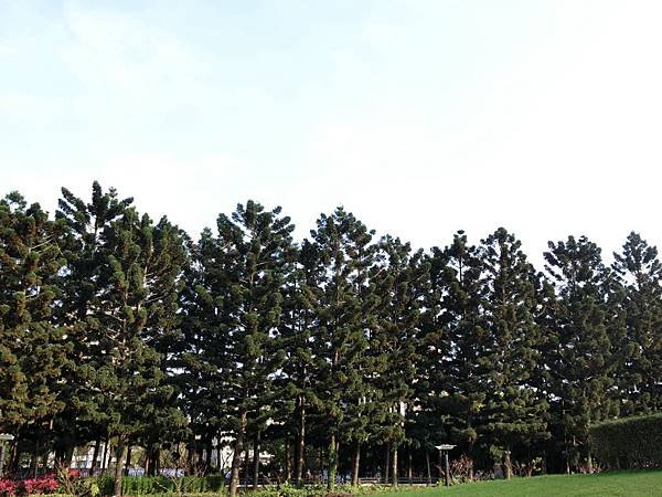 CIMG2887.JPG