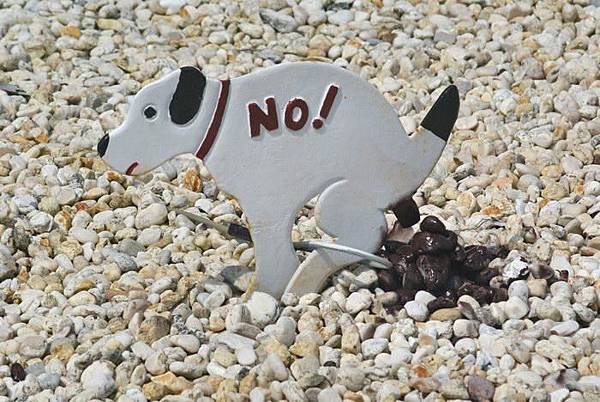 no_dog_fouling_sign_1001.jpg