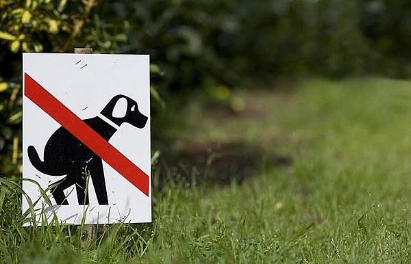 no_dog_fouling_sign_1004.jpg