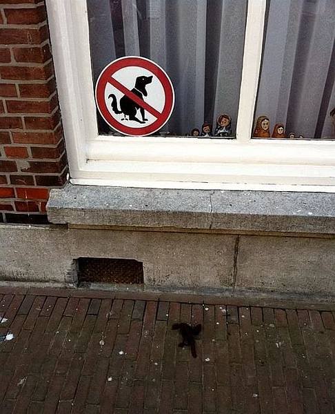 no_dog_fouling_sign_1008.jpg