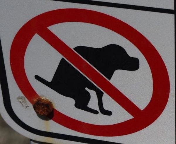 no_dog_fouling_sign_1009.jpg