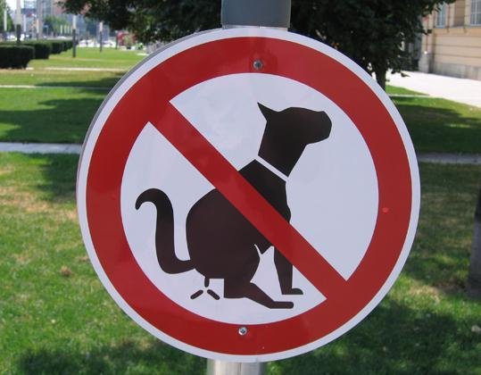 no_dog_fouling_sign_1010.jpg