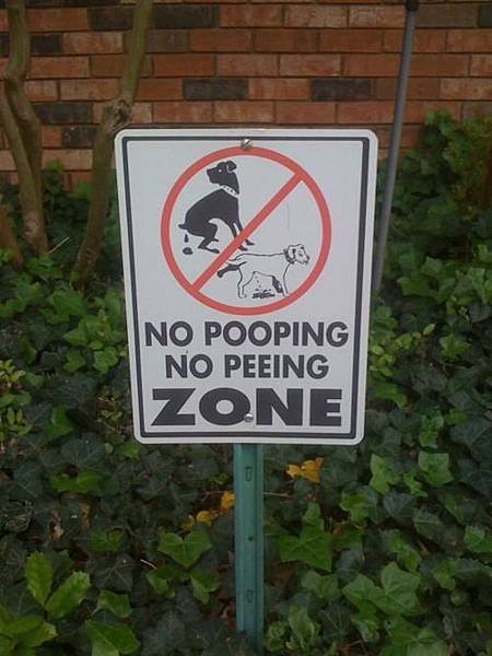 no_dog_fouling_sign_1011.jpg