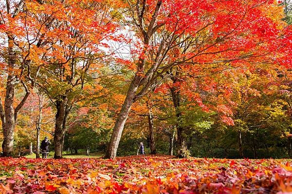 福原山荘2.jpg