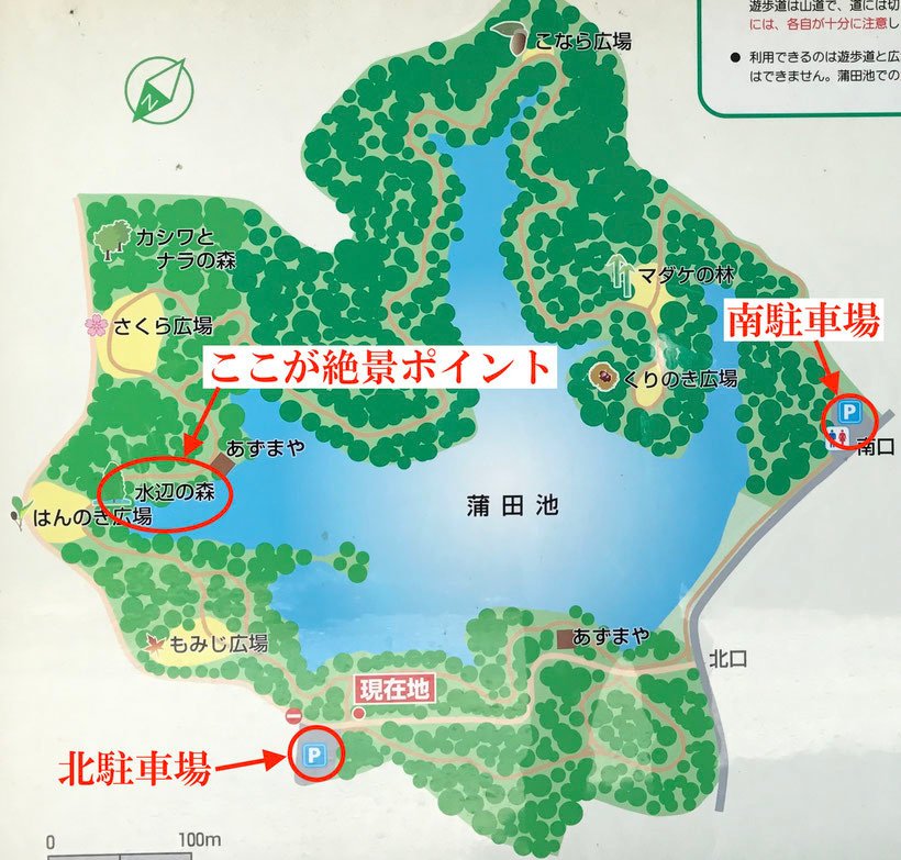 篠栗九大の森5.jpg