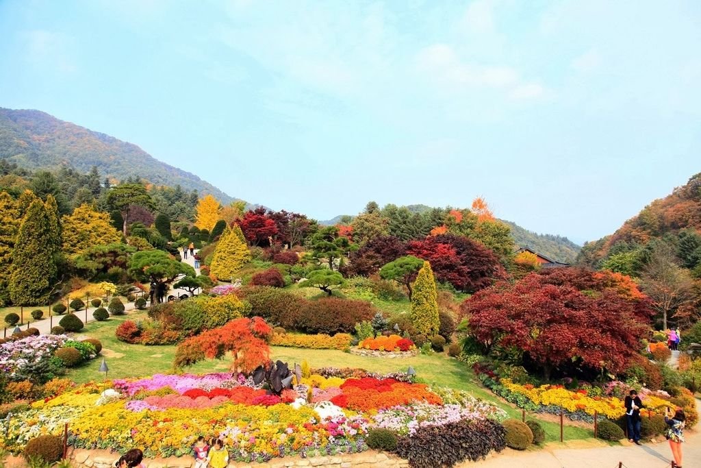 아침고요수목원 晨靜樹木園3