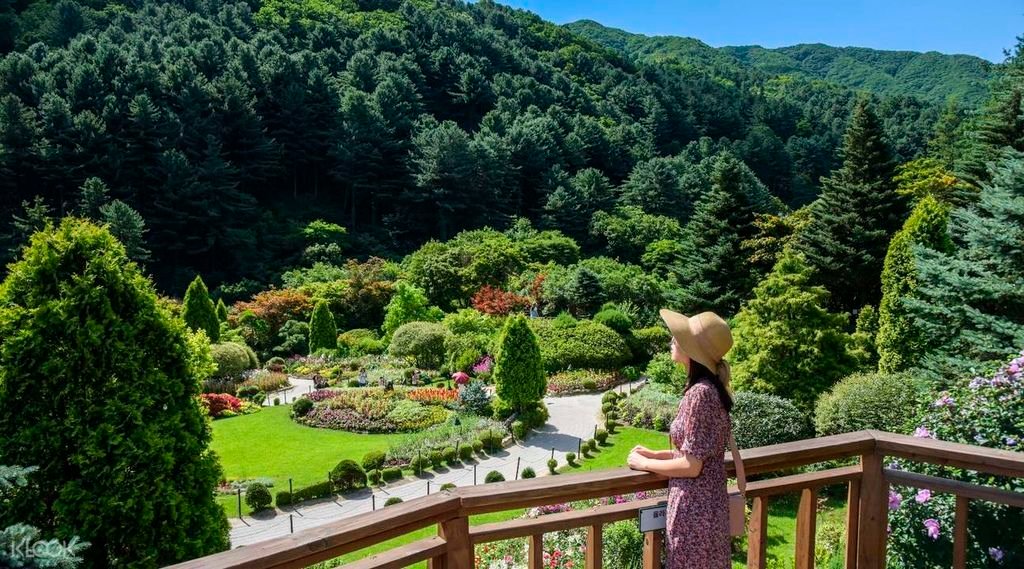 아침고요수목원 晨靜樹木園2