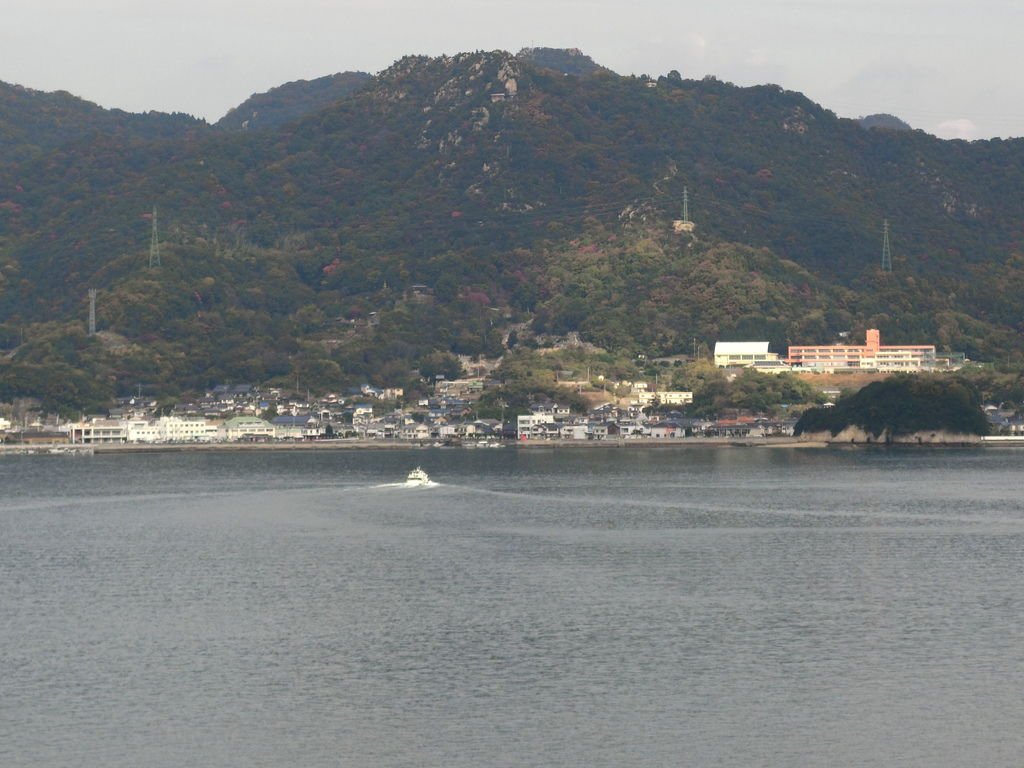 CIMG4447.JPG