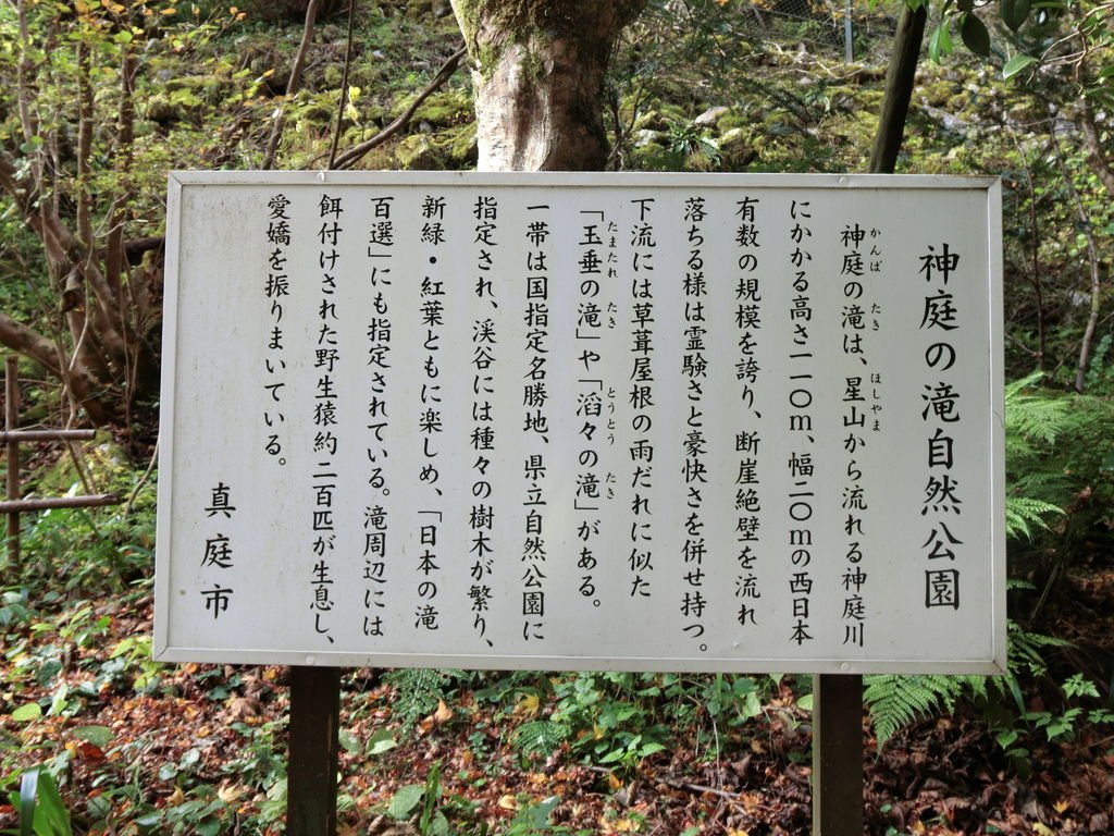 CIMG4829.JPG