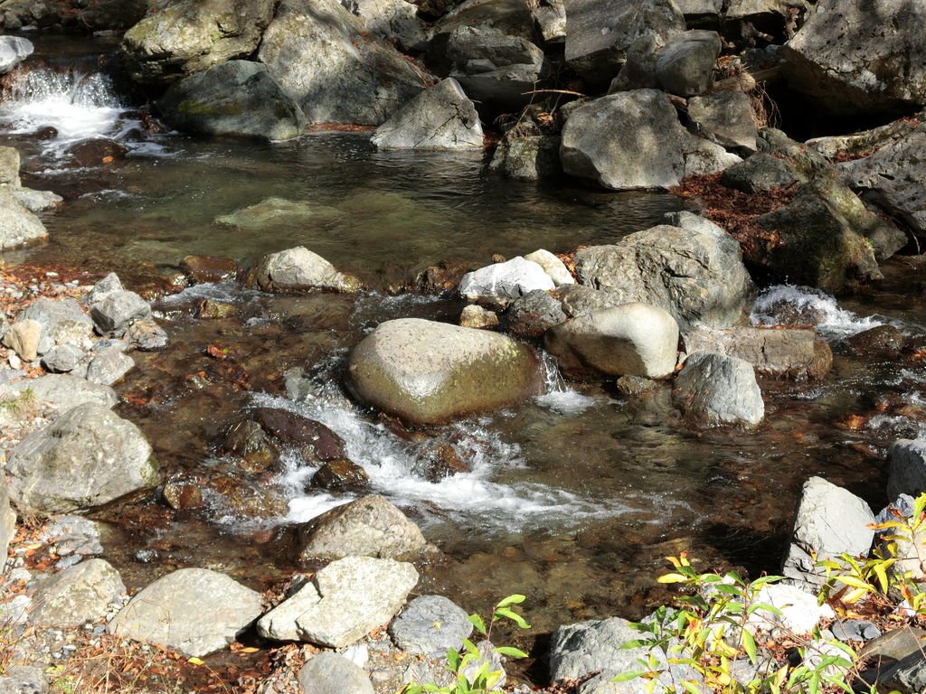 CIMG4839.JPG
