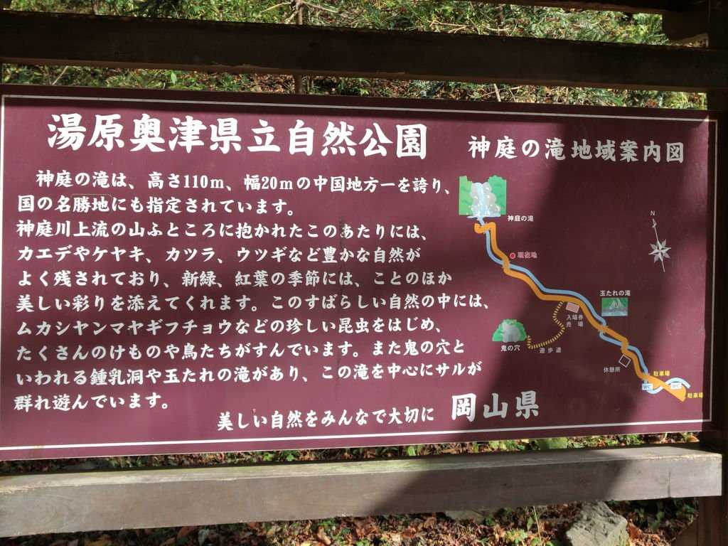CIMG4842.JPG