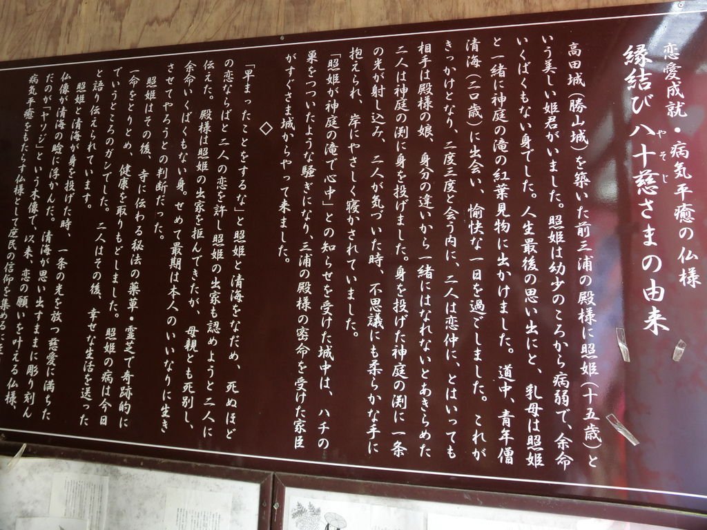 CIMG4905.JPG