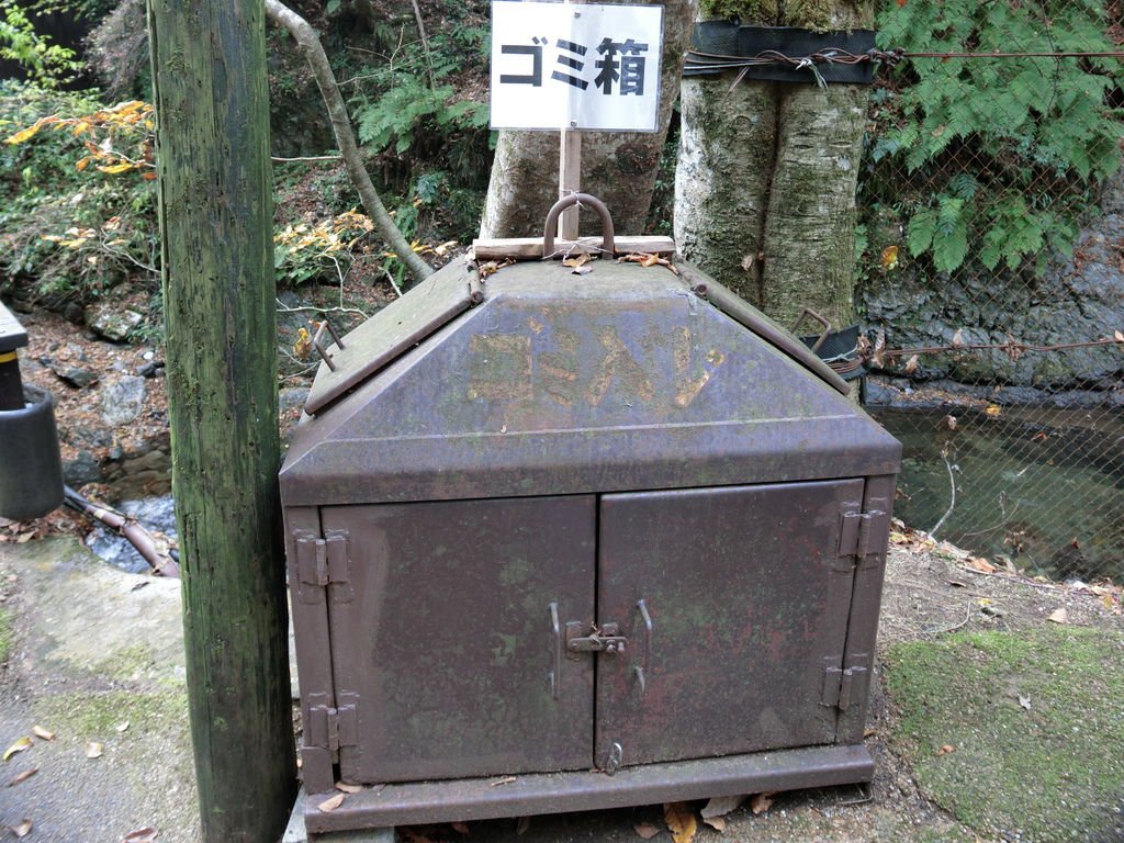 CIMG4908.JPG