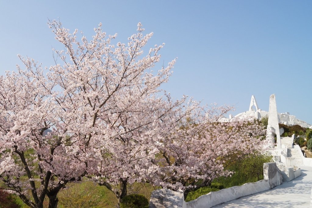 耕三寺桜まつり