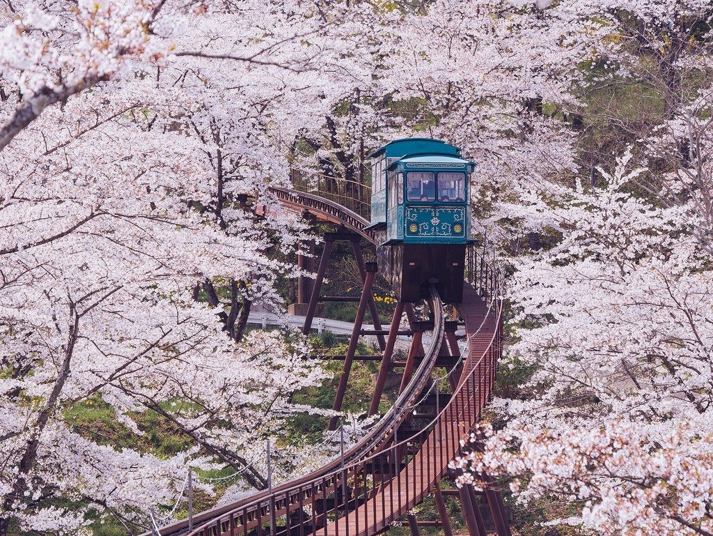 船岡城址公園