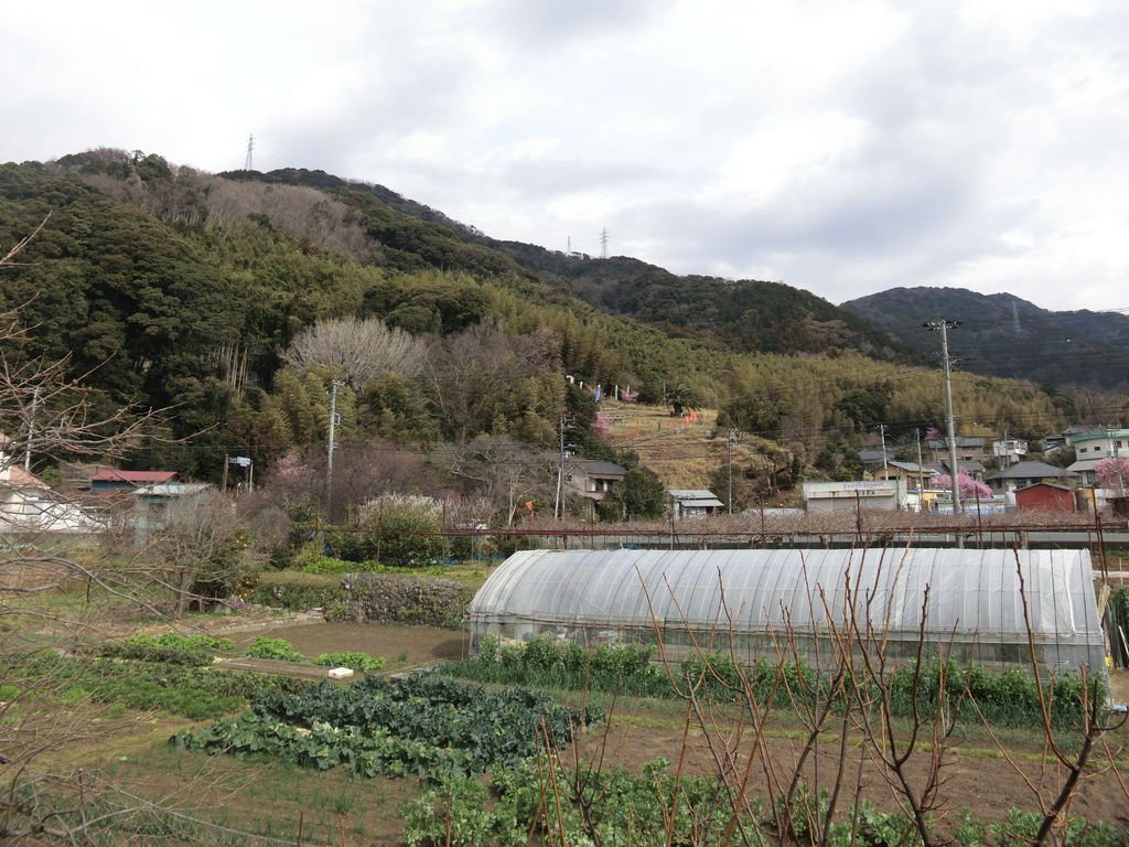 CIMG7043.JPG