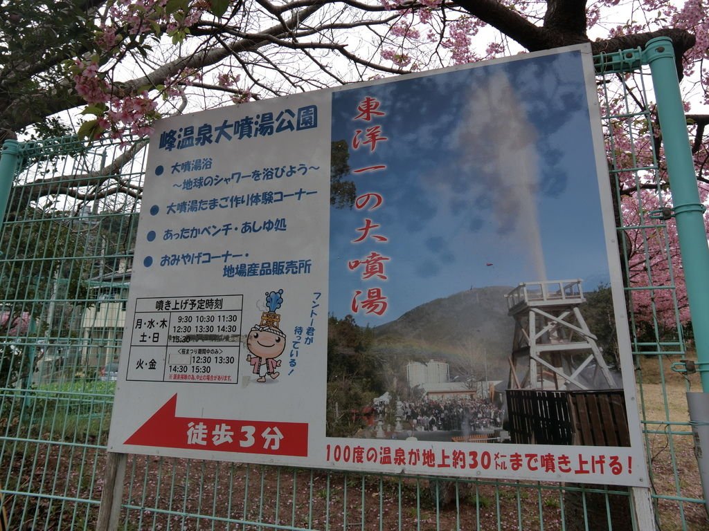 CIMG7064.JPG