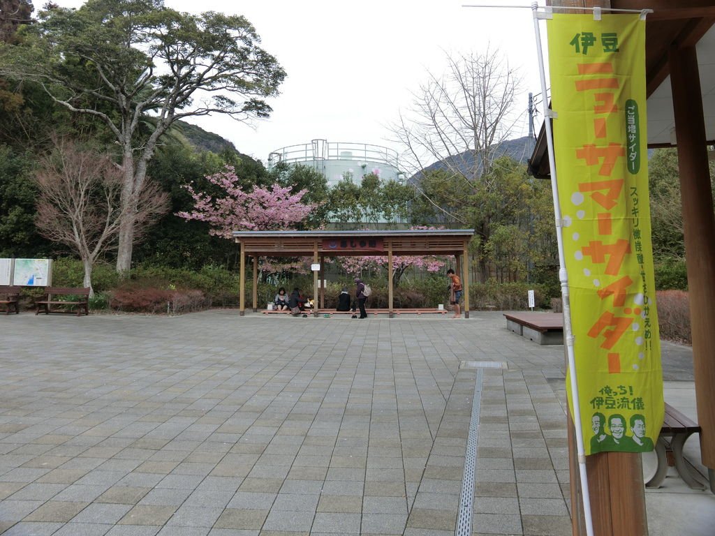 CIMG7089.JPG